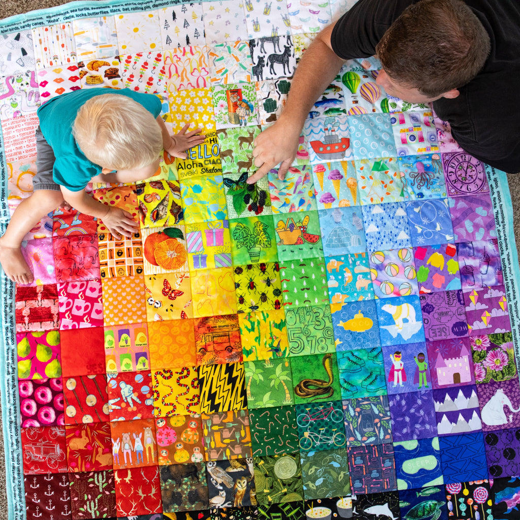 Hidden Pictures Blue Minky Quilt Panel