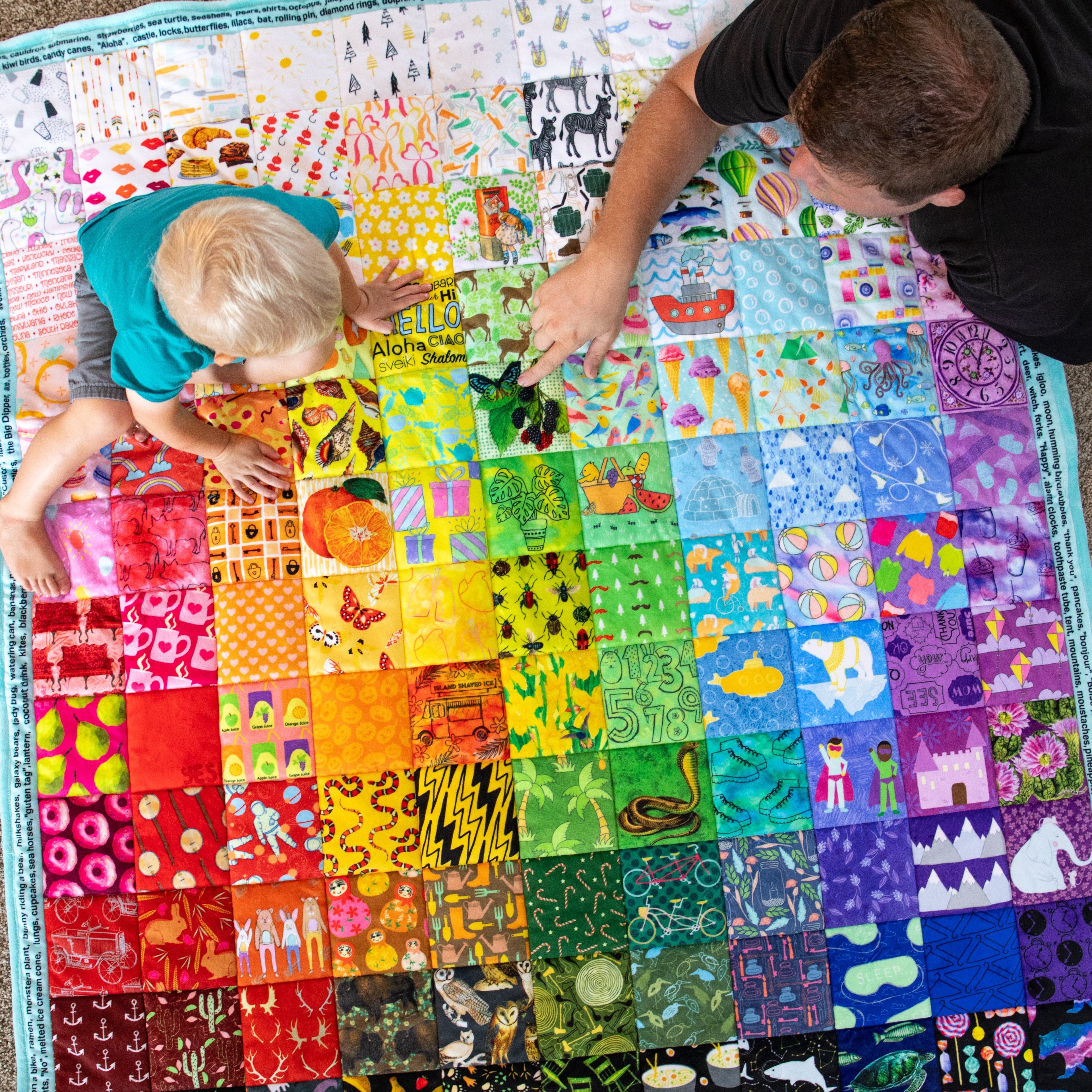 Hidden Pictures Blue Minky Quilt Panel
