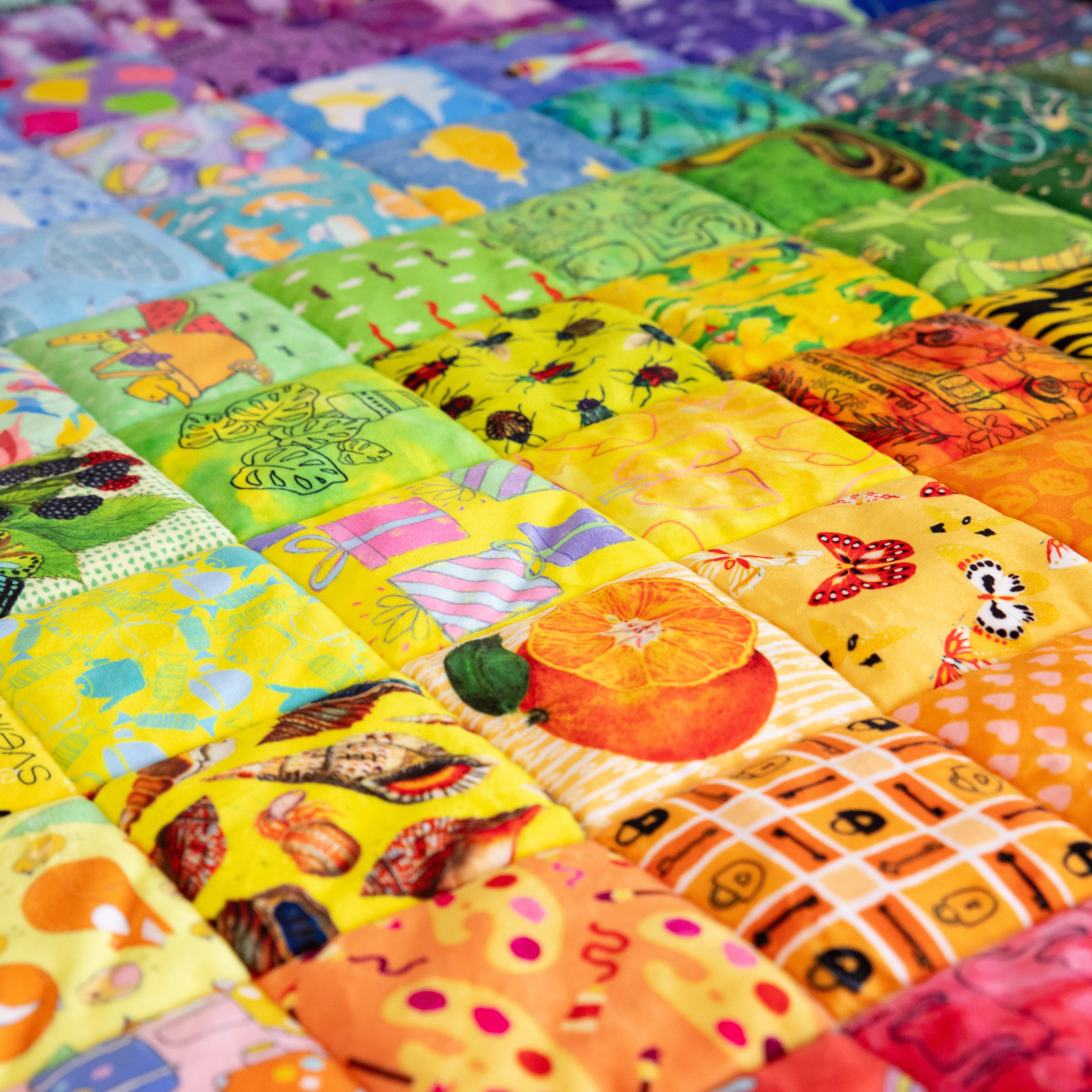 Hidden Pictures Blue Minky Quilt Panel