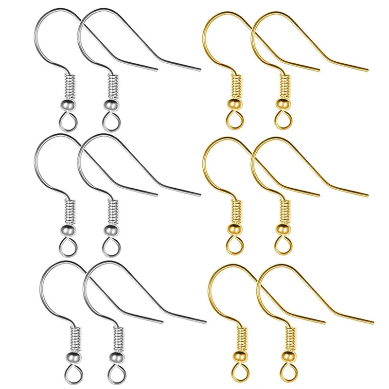 Earring Hooks Stainless
