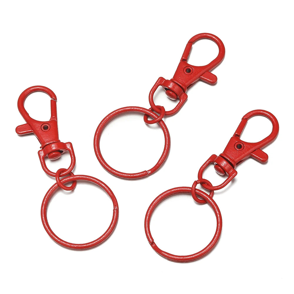 Multicolor Keyring with Lobster Clasp