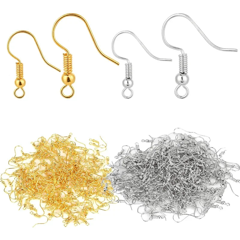 Earring Hooks Stainless