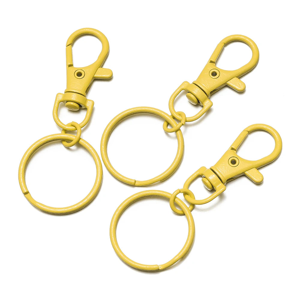 Multicolor Keyring with Lobster Clasp