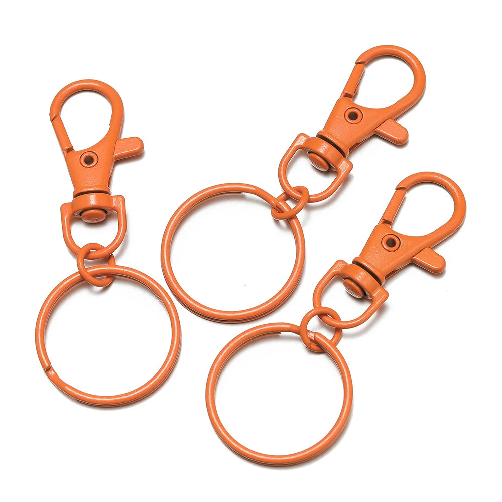Multicolor Keyring with Lobster Clasp